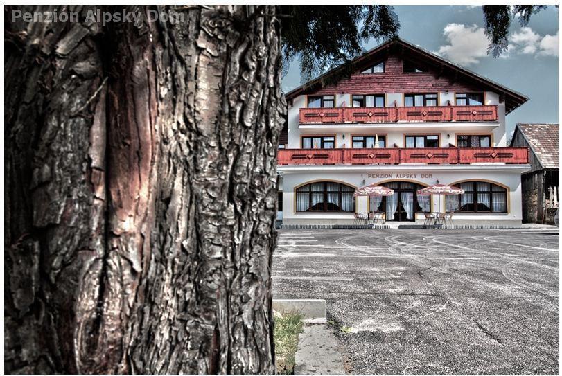 Alpsky Dom Vitanova Hotel Kültér fotó